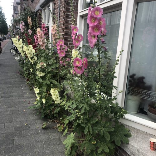 image00007