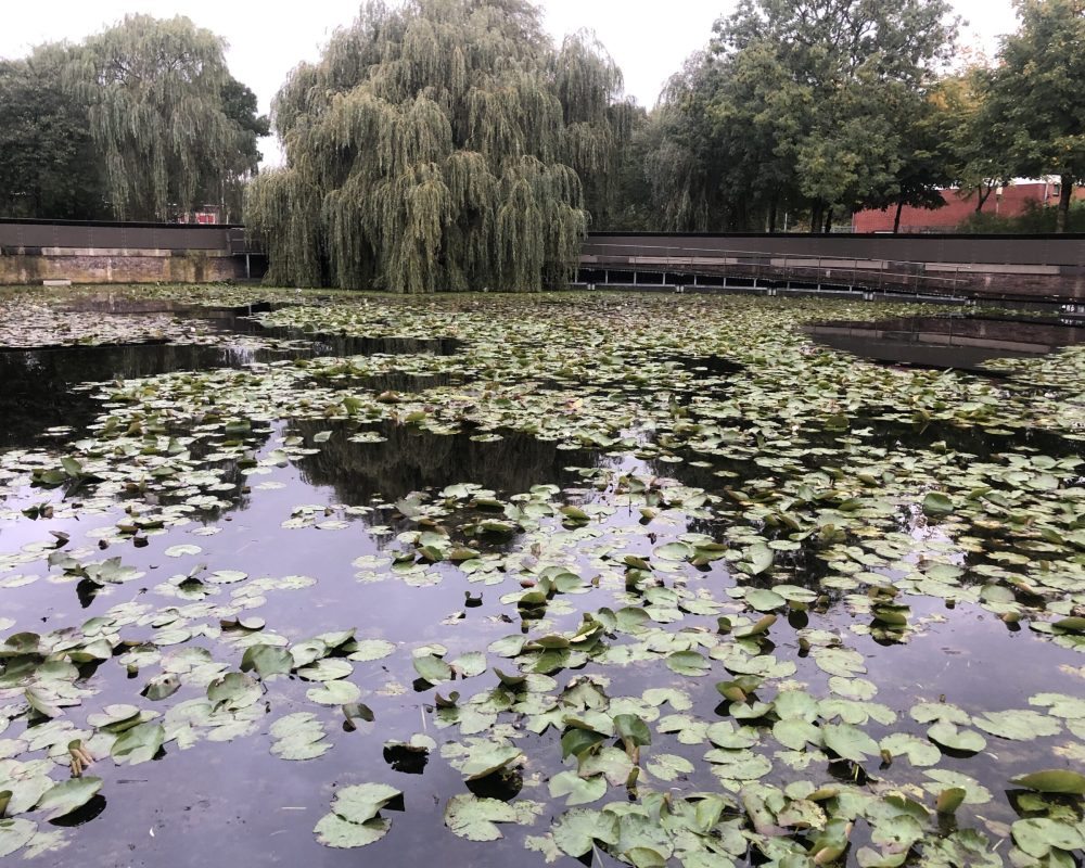 image00010