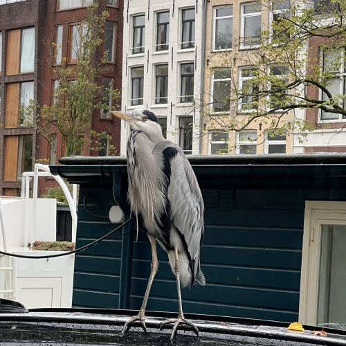 image00026